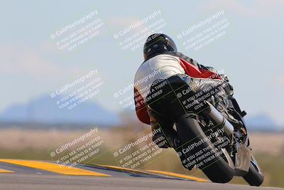 media/Oct-09-2022-SoCal Trackdays (Sun) [[95640aeeb6]]/Turn 9 Backside (120pm)/